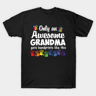 Only an awesome grandma T-Shirt